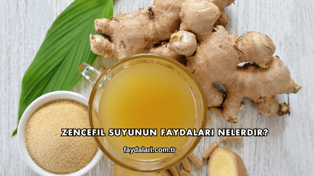 Zencefil Suyunun Faydaları Nelerdir?