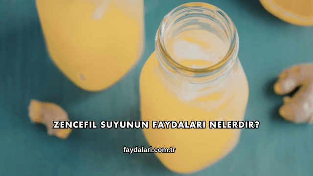 Zencefil Suyunun Faydaları Nelerdir?