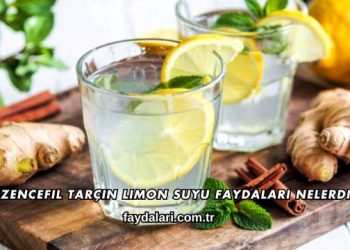 Zencefil Tarçın Limon Suyu Faydaları Nelerdir?