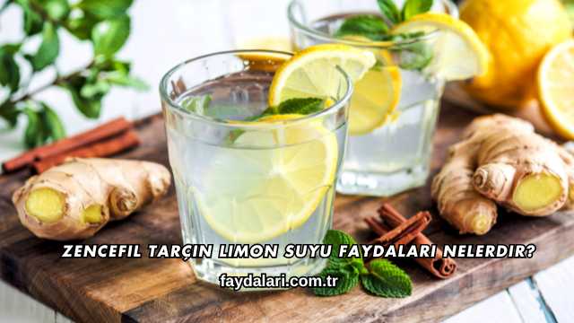 Zencefil Tarçın Limon Suyu Faydaları Nelerdir?