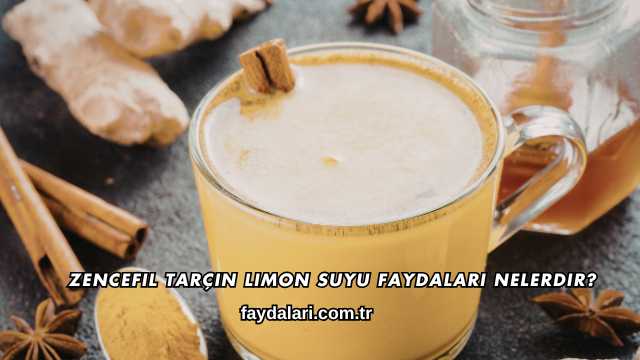 Zencefil Tarçın Limon Suyu Faydaları Nelerdir?