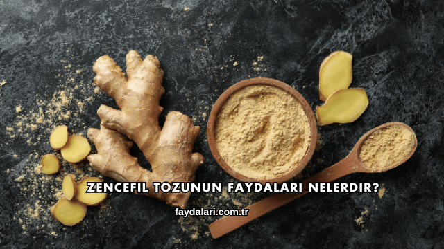 Zencefil Tozunun Faydaları Nelerdir?