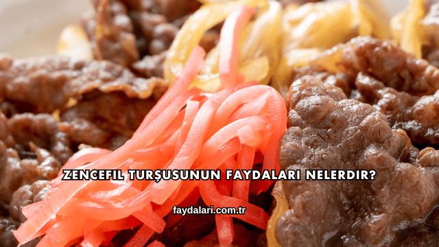 Zencefil Turşusunun Faydaları Nelerdir?