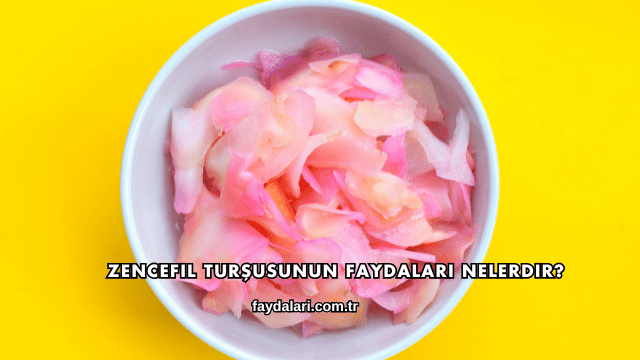 Zencefil Turşusunun Faydaları Nelerdir?