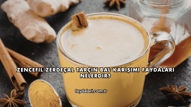 Zencefil Zerdeçal Tarçın Bal Karışımı Faydaları Nelerdir?