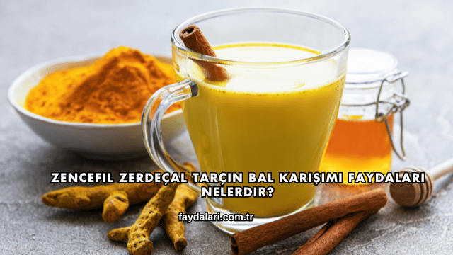 Zencefil Zerdeçal Tarçın Bal Karışımı Faydaları Nelerdir?