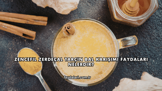 Zencefil Zerdeçal Tarçın Bal Karışımı Faydaları Nelerdir?