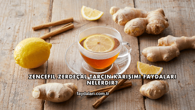 Zencefil Zerdeçal Tarçın Karışımı Faydaları Nelerdir?