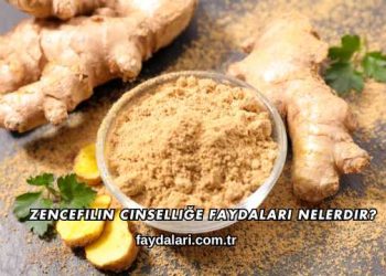 Zencefilin Cinselliğe Faydaları Nelerdir?