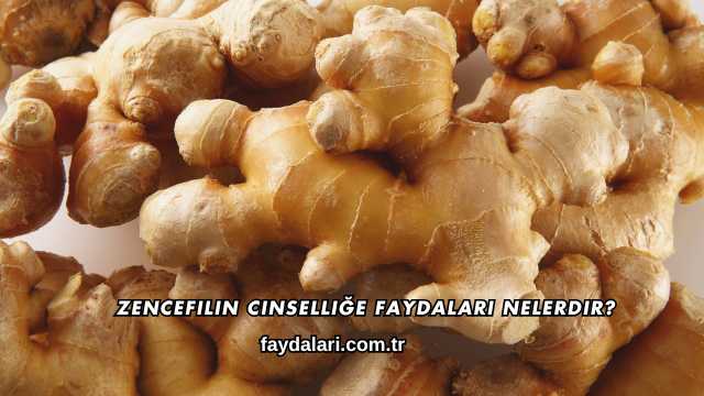 Zencefilin Cinselliğe Faydaları Nelerdir?