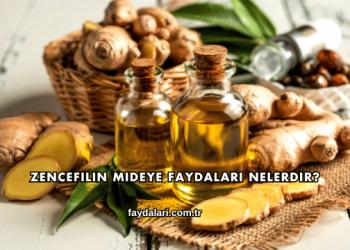 Zencefilin Mideye Faydaları Nelerdir?