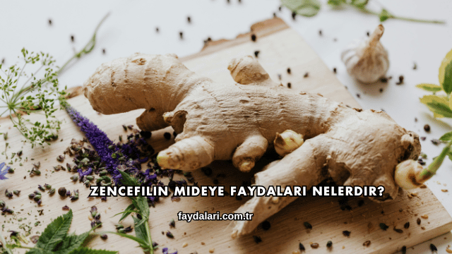 Zencefilin Mideye Faydaları Nelerdir?