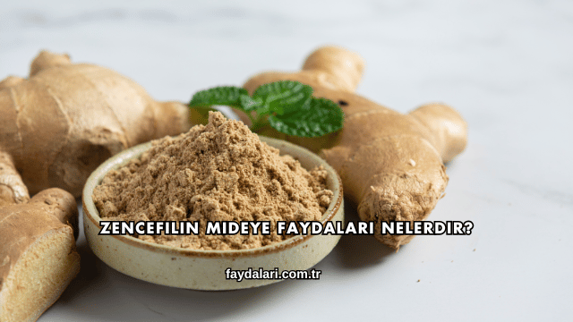 Zencefilin Mideye Faydaları Nelerdir?