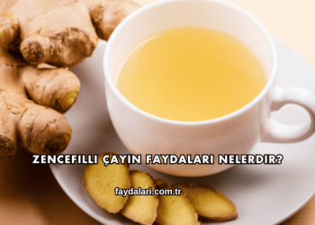 Zencefilli Çayın Faydaları Nelerdir?