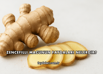 Zencefilli Macunun Faydaları Nelerdir?