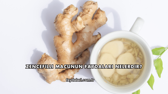 Zencefilli Macunun Faydaları Nelerdir?