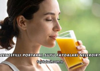 Zencefilli Portakal Suyu Faydaları Nelerdir?