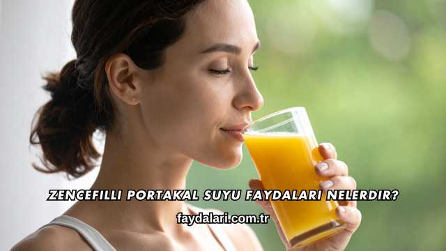 Zencefilli Portakal Suyu Faydaları Nelerdir?