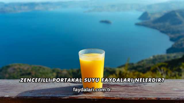 Zencefilli Portakal Suyu Faydaları Nelerdir?