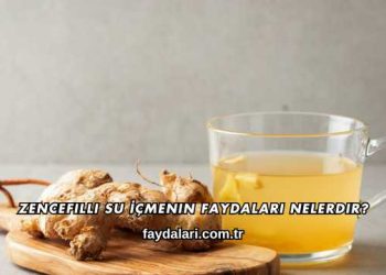 Zencefilli Su İçmenin Faydaları Nelerdir?