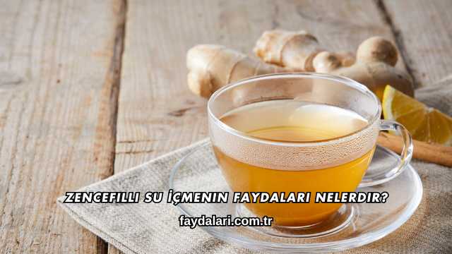 Zencefilli Su İçmenin Faydaları Nelerdir?