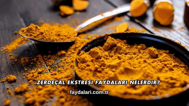 Zerdeçal Ekstresi Faydaları Nelerdir?