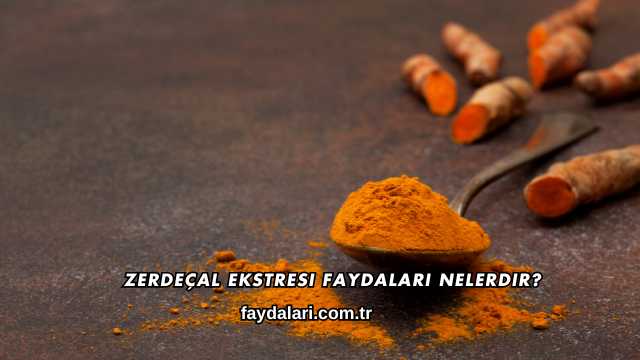 Zerdeçal Ekstresi Faydaları Nelerdir?