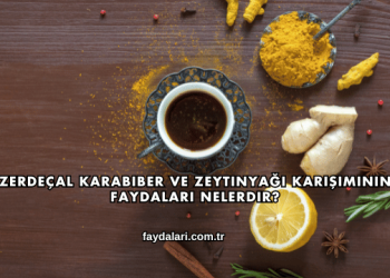 Zerdeçal Karabiber ve Zeytinyağı Karışımının Faydaları Nelerdir?