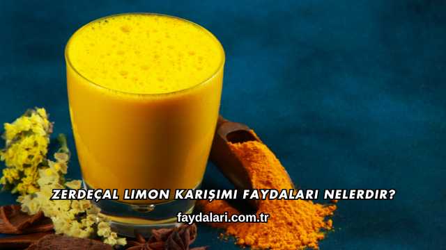 Zerdeçal Limon Karışımı Faydaları Nelerdir?