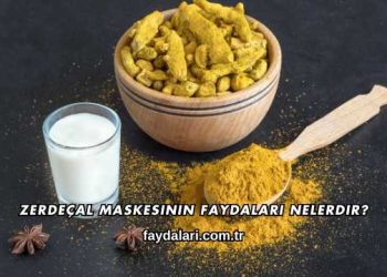 Zerdeçal Maskesinin Faydaları Nelerdir?
