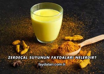 Zerdeçal Suyunun Faydaları Nelerdir?