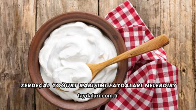 Zerdeçal Yoğurt Karışımı Faydaları Nelerdir?