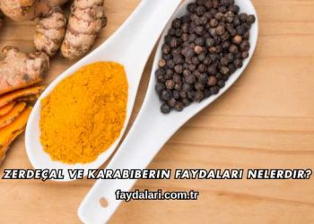 Zerdeçal ve Karabiberin Faydaları Nelerdir?