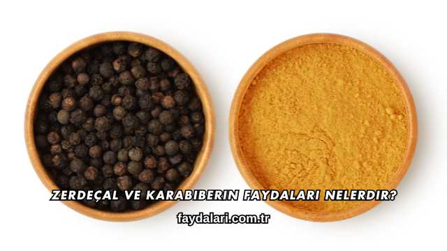 Zerdeçal ve Karabiberin Faydaları Nelerdir?