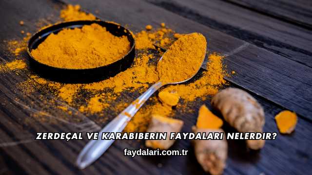Zerdeçal ve Karabiberin Faydaları Nelerdir?