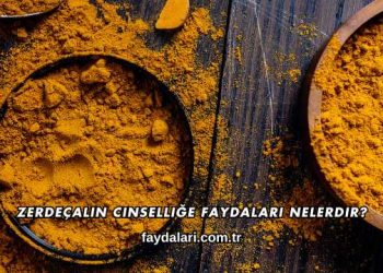 Zerdeçalın Cinselliğe Faydaları Nelerdir?