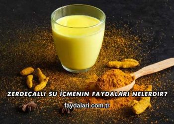 Zerdeçallı Su İçmenin Faydaları Nelerdir?