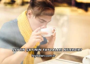 Zeytin Çayının Faydaları Nelerdir?