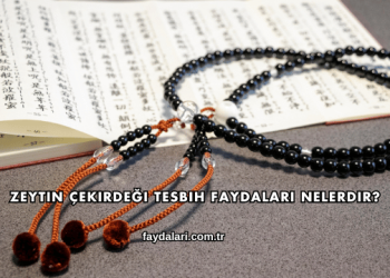 Zeytin Çekirdeği Tesbih Faydaları Nelerdir?