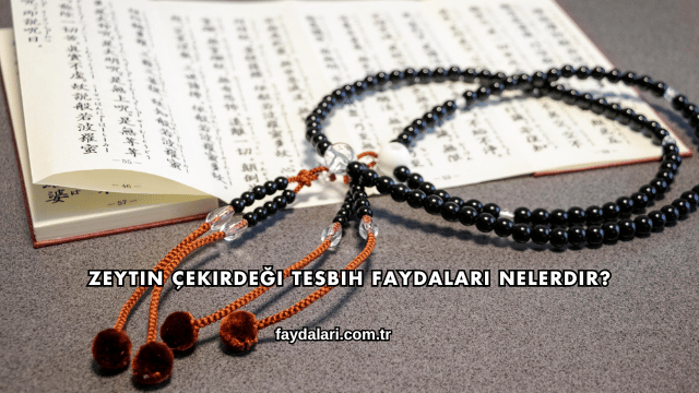 Zeytin Çekirdeği Tesbih Faydaları Nelerdir?