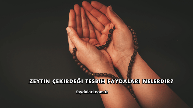 Zeytin Çekirdeği Tesbih Faydaları Nelerdir?