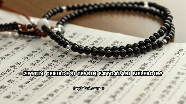 Zeytin Çekirdeği Tesbih Faydaları Nelerdir?