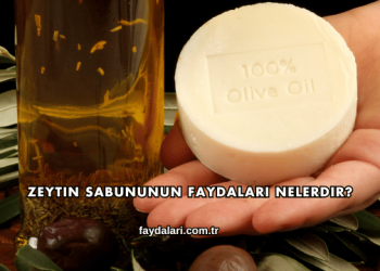 Zeytin Sabununun Faydaları Nelerdir?