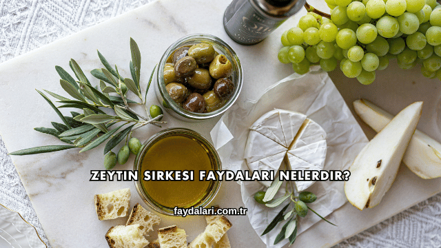 Zeytin Sirkesi Faydaları Nelerdir?