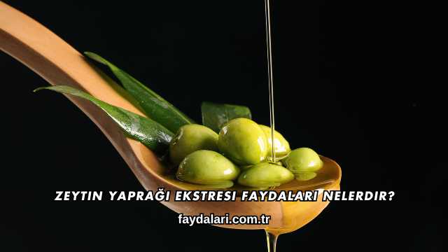 Zeytin Yaprağı Ekstresi Faydaları Nelerdir?