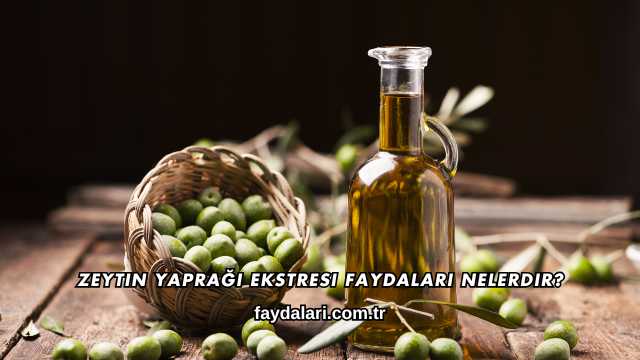Zeytin Yaprağı Ekstresi Faydaları Nelerdir?