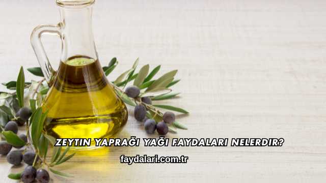 Zeytin Yaprağı Yağı Faydaları Nelerdir?