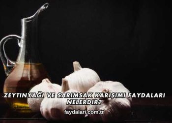 Zeytinyağı ve Sarımsak Karışımı Faydaları Nelerdir?
