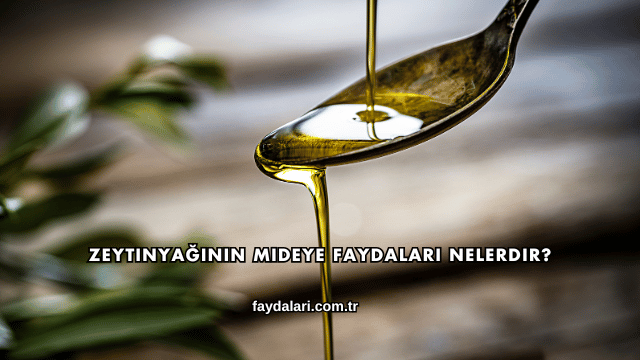 Zeytinyağının Mideye Faydaları Nelerdir?