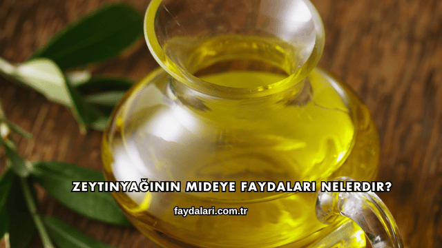 Zeytinyağının Mideye Faydaları Nelerdir?